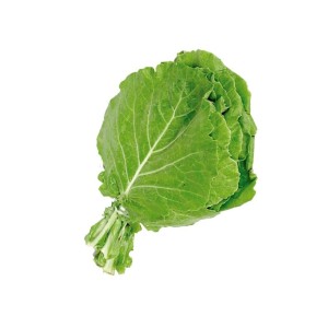 COUVE MANTEIGA UNID.